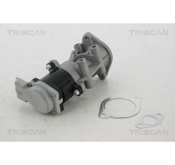 AGR - Ventil TRISCAN 8813 17008