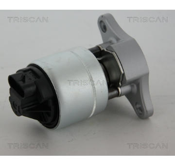 AGR-Ventil TRISCAN 8813 21006