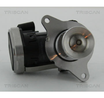 AGR-Ventil TRISCAN 8813 23006