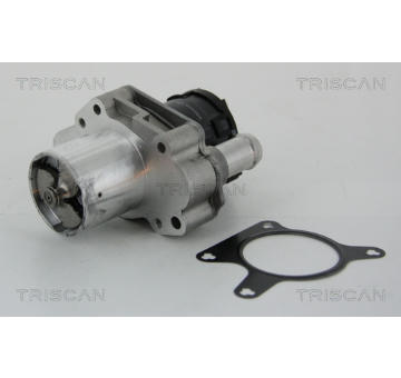 AGR-Ventil TRISCAN 8813 23031