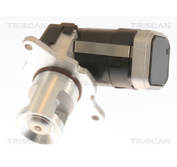 AGR-Ventil TRISCAN 8813 23036