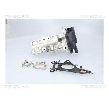AGR-Ventil TRISCAN 8813 23041
