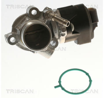 AGR-Ventil TRISCAN 8813 23042