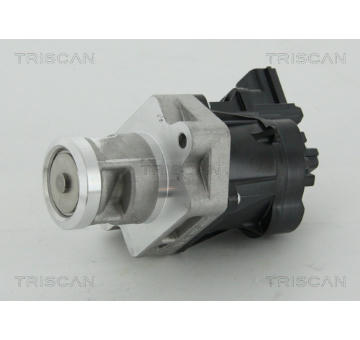 AGR-Ventil TRISCAN 8813 24083