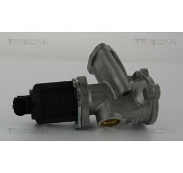 AGR-Ventil TRISCAN 8813 24204