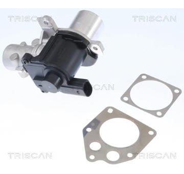 AGR-Ventil TRISCAN 8813 25036