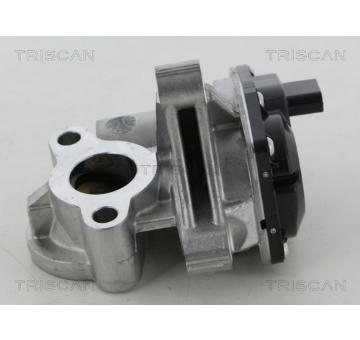 AGR-Ventil TRISCAN 8813 25041