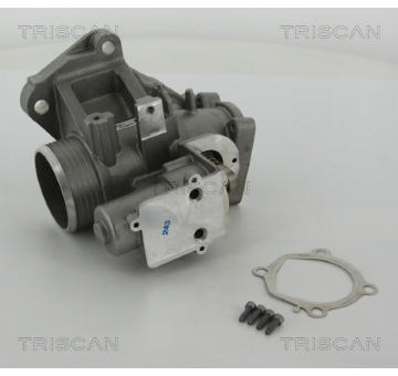 AGR-Ventil TRISCAN 8813 27103