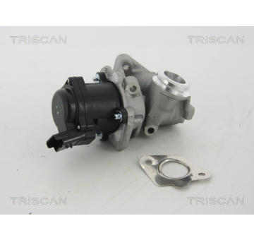 AGR-Ventil TRISCAN 8813 28003