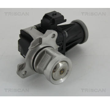 AGR-Ventil TRISCAN 8813 28005