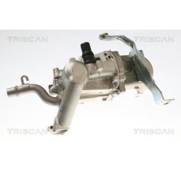 AGR-Ventil TRISCAN 8813 28108