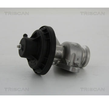 AGR-Ventil TRISCAN 8813 29034