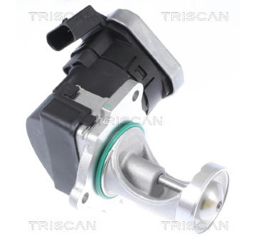 AGR-Ventil TRISCAN 8813 29043