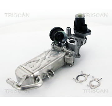 AGR-Ventil TRISCAN 8813 29102