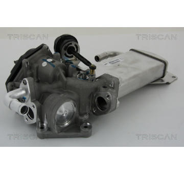 AGR-Ventil TRISCAN 8813 29303