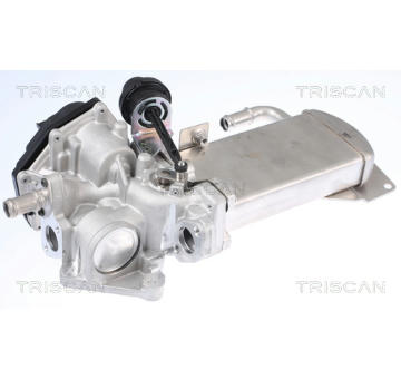 AGR-Ventil TRISCAN 8813 29306
