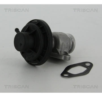 AGR-Ventil TRISCAN 8813 29307