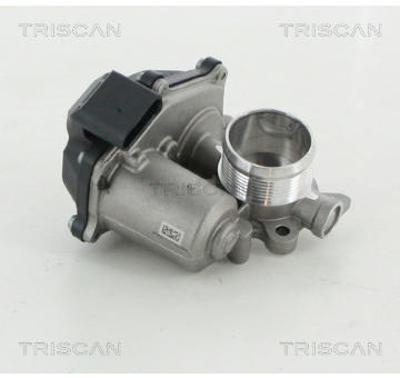 AGR-Ventil TRISCAN 8813 29316
