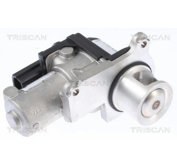 AGR-Ventil TRISCAN 8813 29339