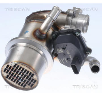 AGR-Ventil TRISCAN 8813 29345