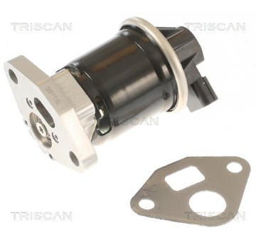 AGR-Ventil TRISCAN 8813 40002