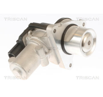 AGR-Ventil TRISCAN 8813 43010