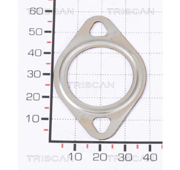 Těsnění TRISCAN 8813 99132