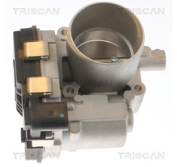 Hrdlo škrticí klapky TRISCAN 8820 29032