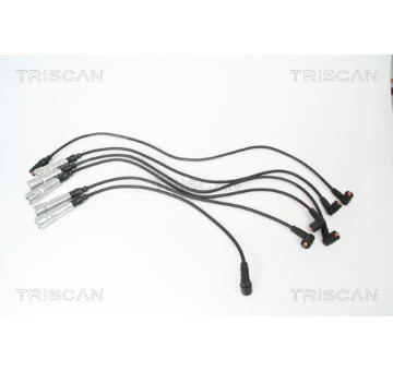 Sada kabelů pro zapalování TRISCAN 8860 29003