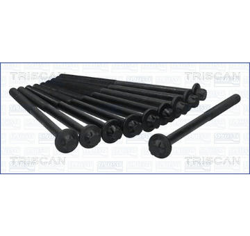 Sada šroubů hlavy válce TRISCAN 98-1718