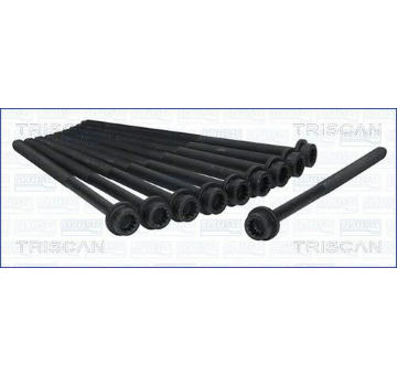 Sada šroubů hlavy válce TRISCAN 98-8549