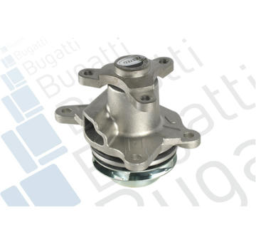 Vodní čerpadlo, chlazení motoru BUGATTI PA10216