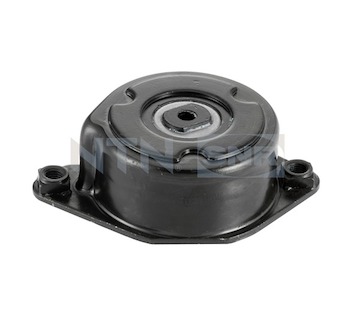 Napínací kladka, žebrovaný klínový řemen SNR GA350.84