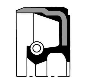 Těsnicí kroužek hřídele, klikový hřídel PAYEN NA5359