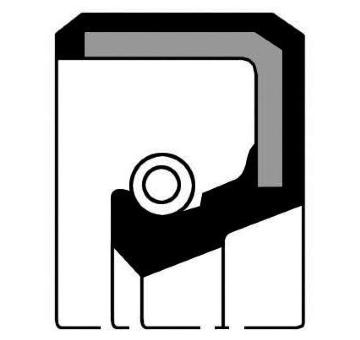 Těsnicí kroužek hřídele, vačkový hřídel PAYEN NJ207