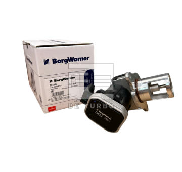 AGR-Ventil BE TURBO 310005