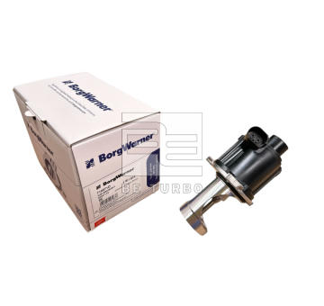 AGR-Ventil BE TURBO 310043