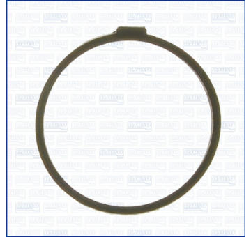 Těsnění, termostat AJUSA 00512300