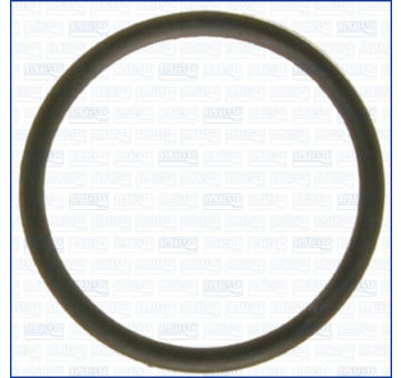 Tesnenie termostatu AJUSA 00538200