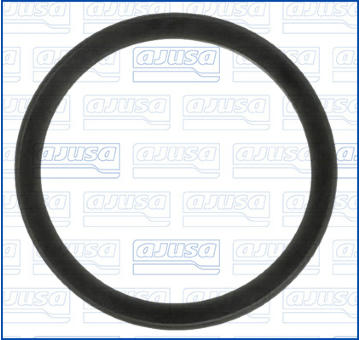 Těsnění, termostat AJUSA 00538400