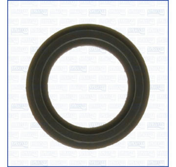 Těsnění AJUSA 00581100