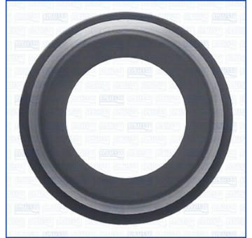 Těsnění AJUSA 00609200