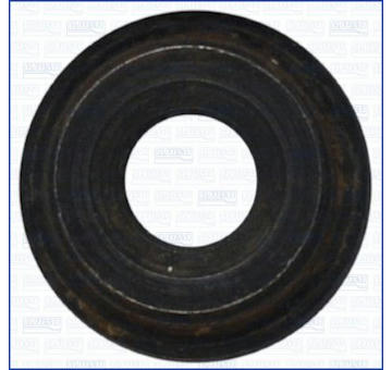 Tesnenie AJUSA 01079600