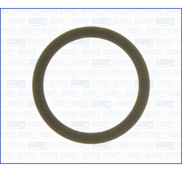 Tesneni, AGR ventil AJUSA 01248300