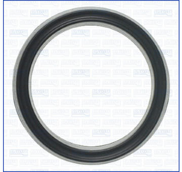 Tesnenie AJUSA 01495600