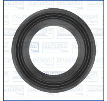 Tesnenie AJUSA 01609600