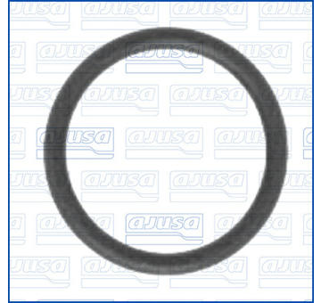 Tesneni, privod vody AJUSA 16007800