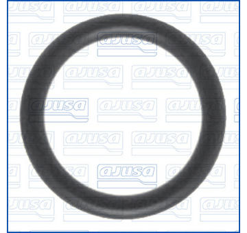 Tesnici krouzek, vstrikovani AJUSA 16011900