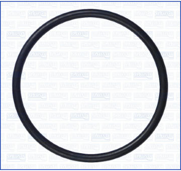 Tesniaci krúżok AJUSA 16019700