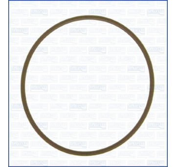 Těsnění, koleno sacího potrubí AJUSA 16028300